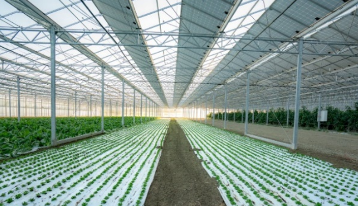 Ingénierie APS Avant projet sommaire technique agriPV culture énergie