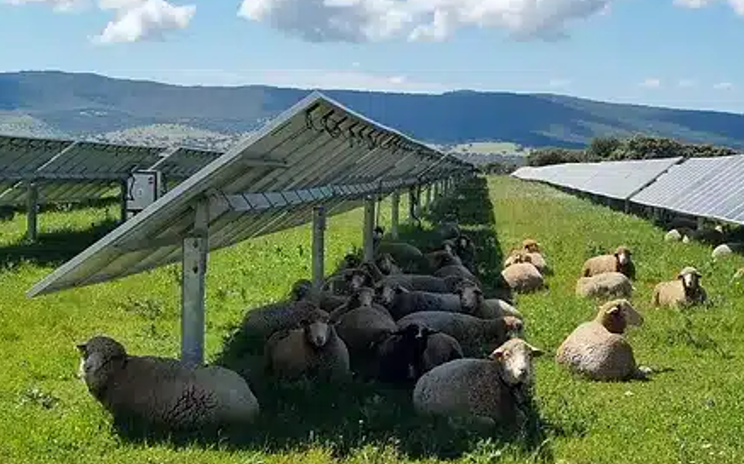 Développement de projet transition énergétique AMO Bourgogne énergie décarbonation PV AgriPV Culture Ovin