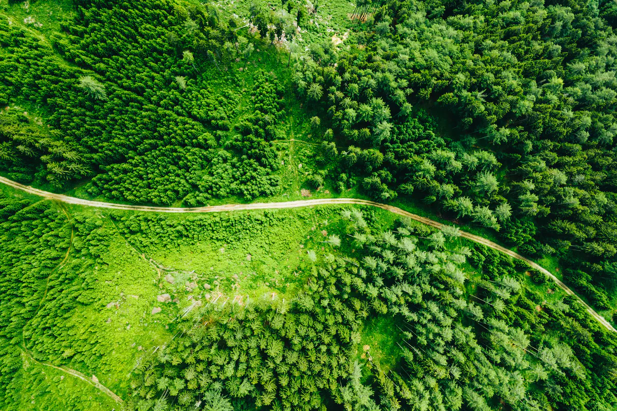 Bilan carbone bureau d'étude dijon stratégie conseil feuille de route stratégique décarbonation
