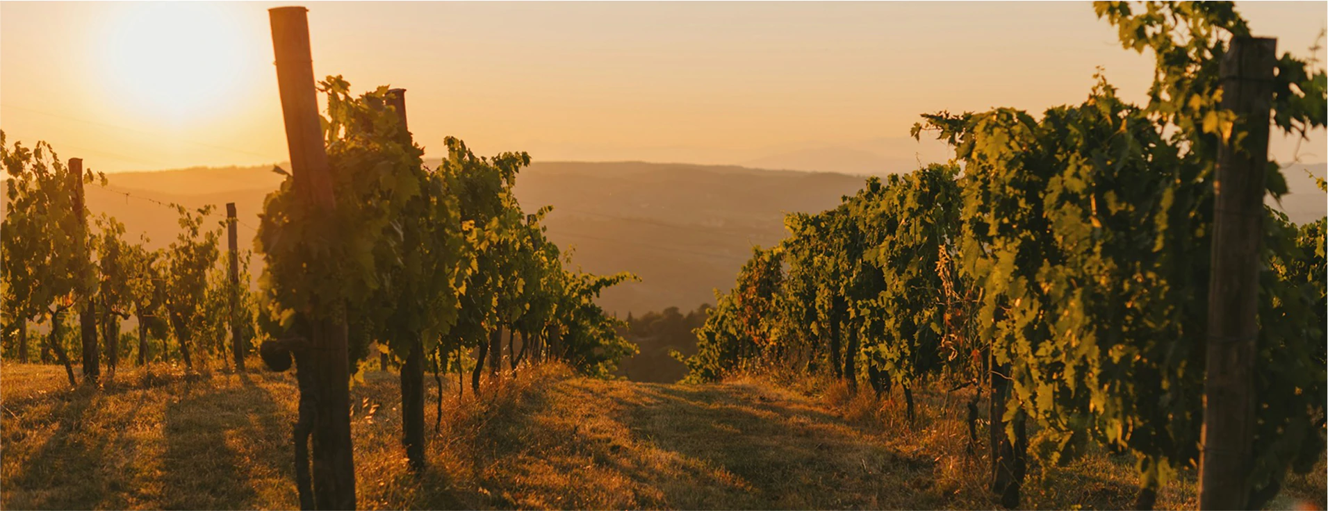 Bureau d'étude décarbonation dijon expert territoire transport industrie dimensionnement calpinage avant projet modèle économique bourgogne